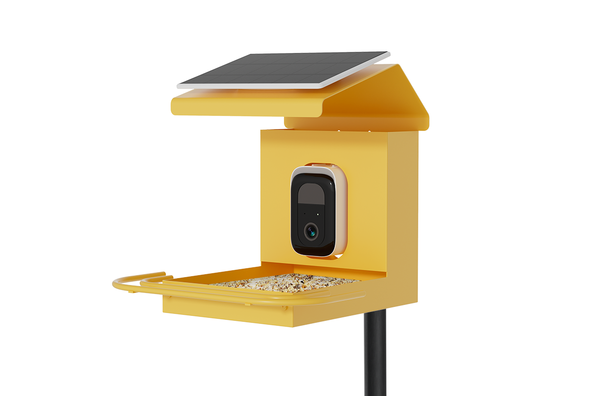 Decoding Your Smart Bird Feeder Waterproof Rating: The Ultimate Guide to IP Ratings