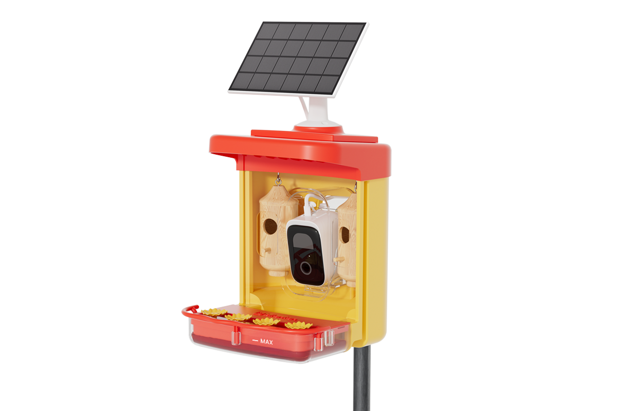 Complete Guide to the Smart Bird Feeder with Solar Panel
