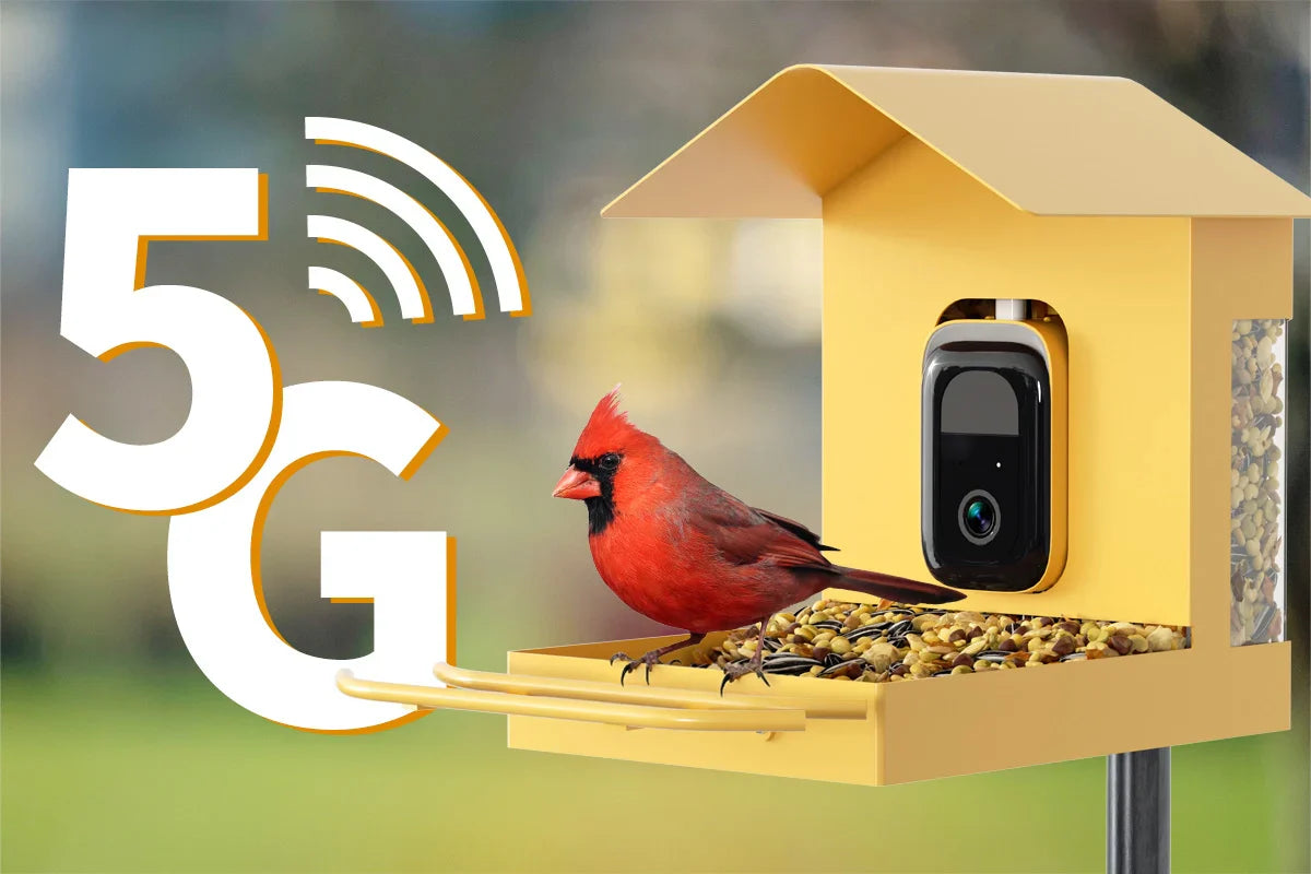 Welcome to the New Era of Smart Birdwatching: How 5G WiFi Bird Feeder with Camera is Revolutionizing Your Experience
