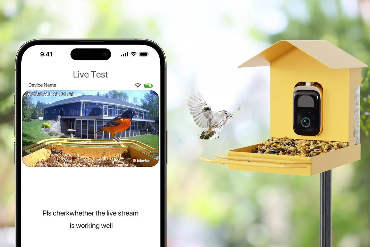 Best WiFi Bird Feeder with Easy Setup—Bilantan