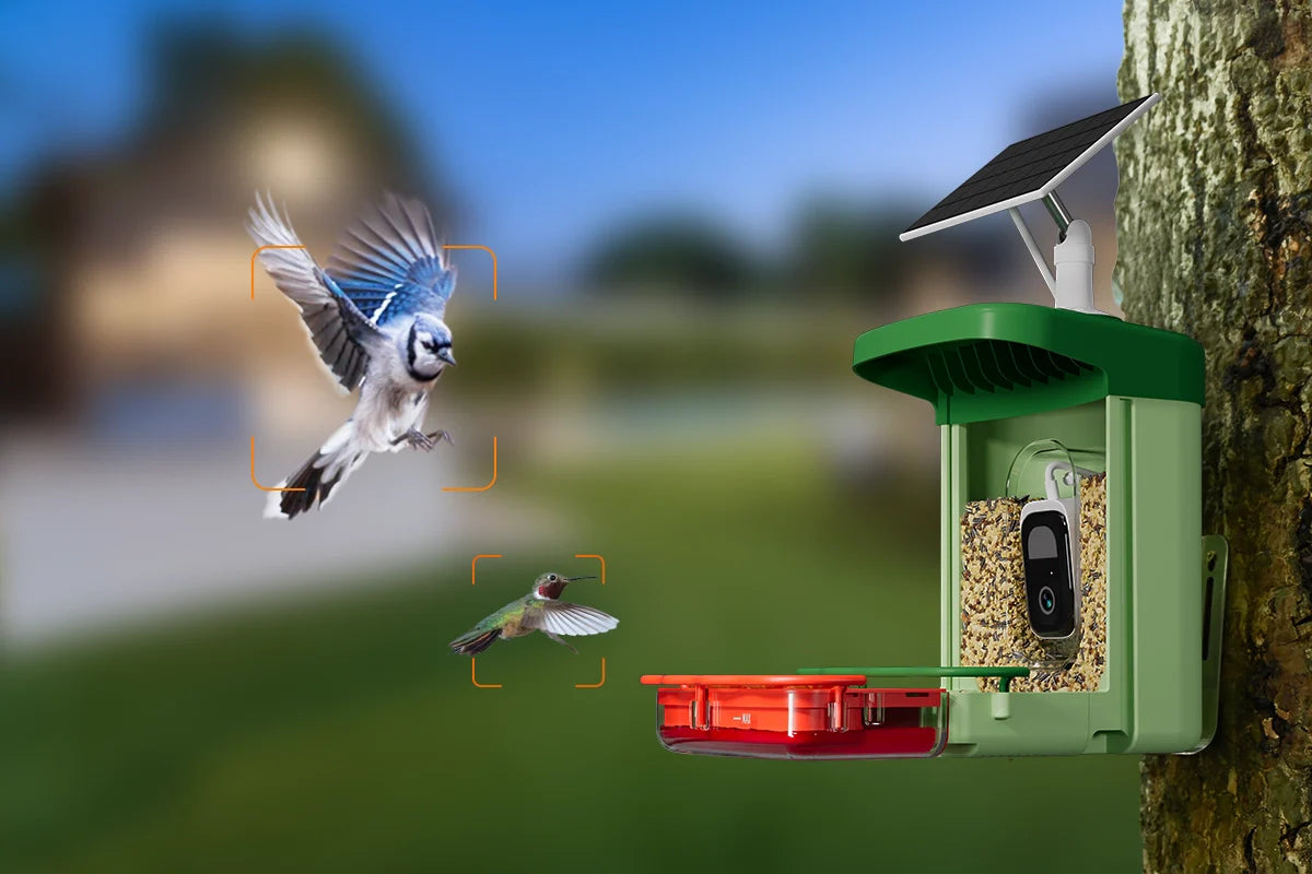 bird feeder camera with color night vision