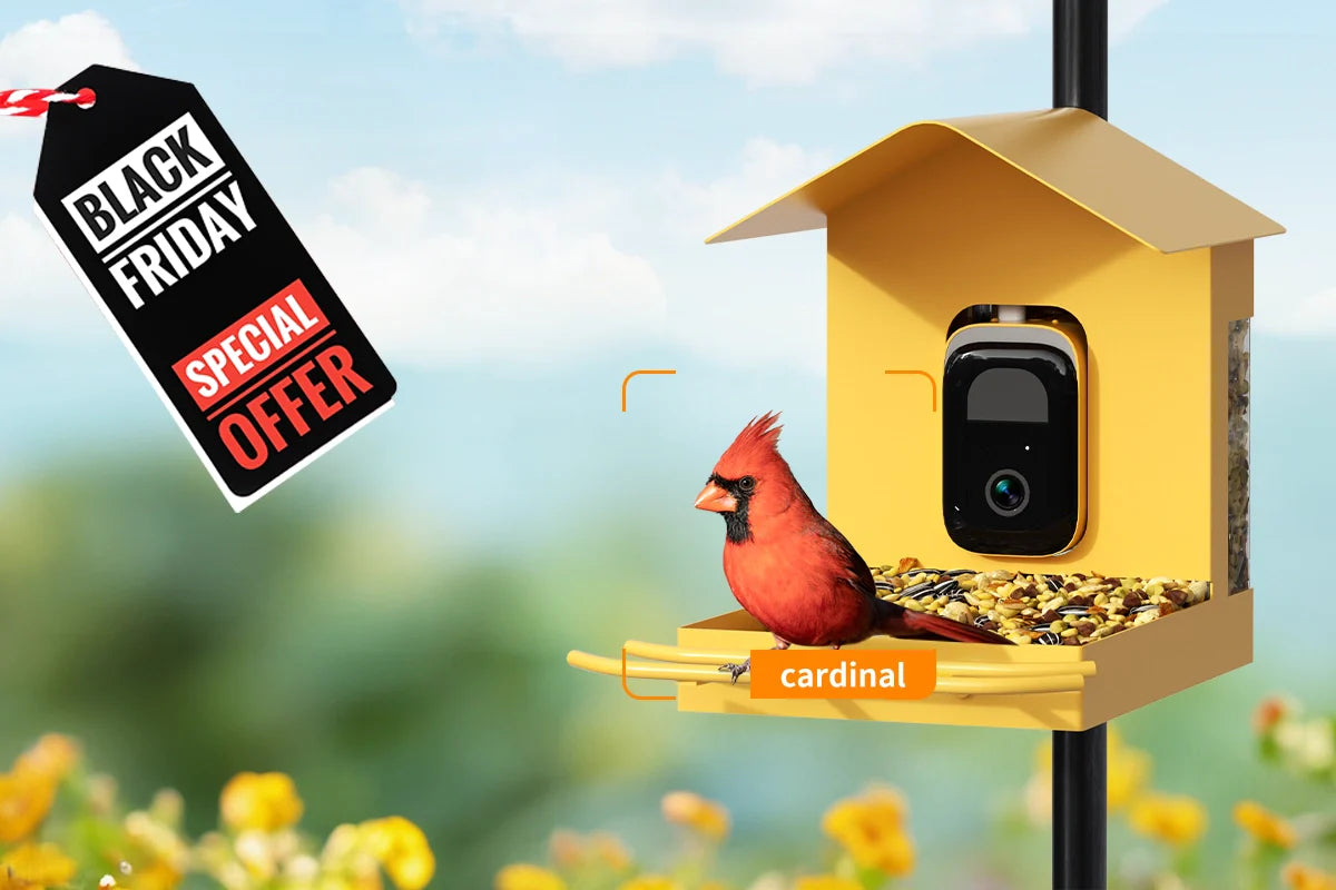 Smart bird feeder with AI recognition feature
