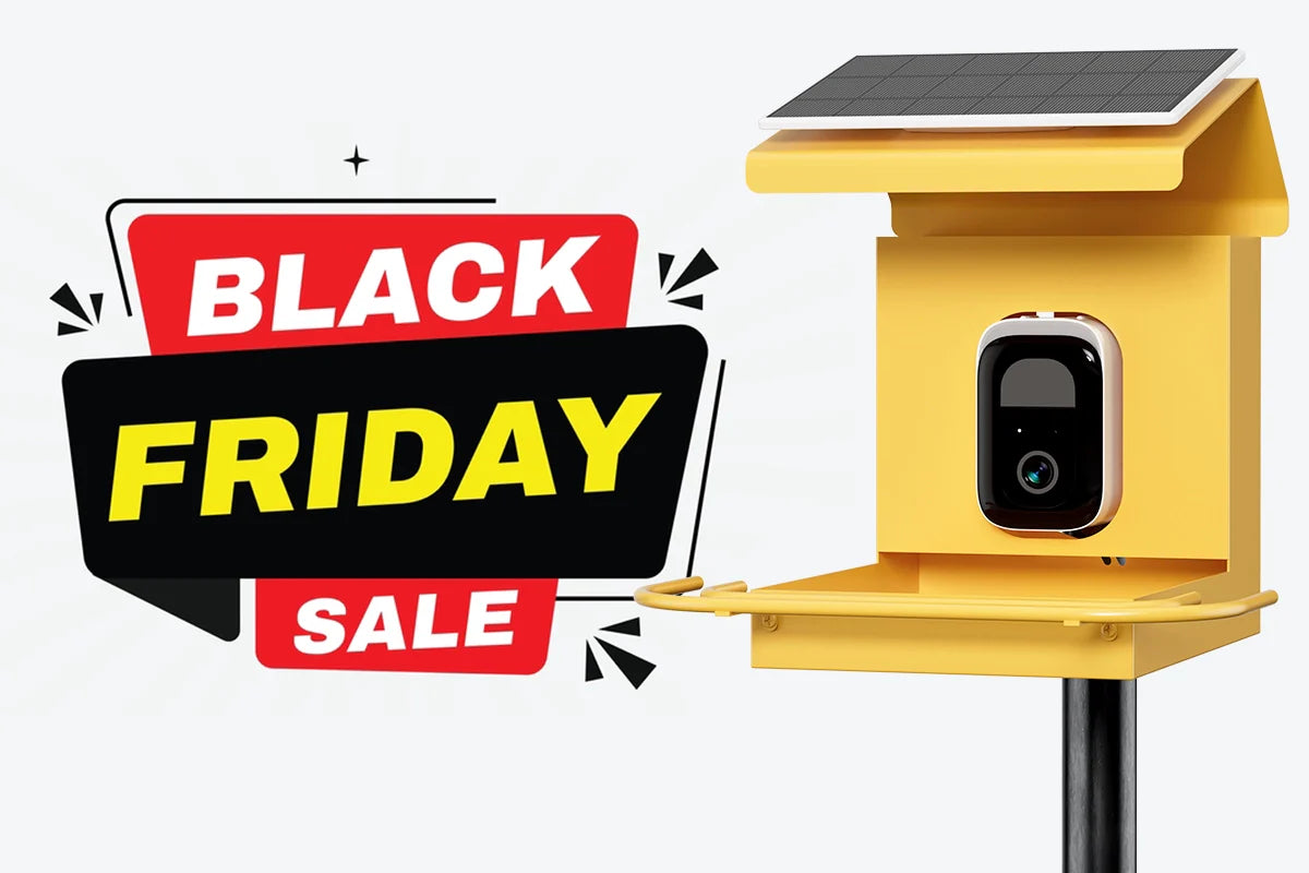 automatic bird feeder black friday sale