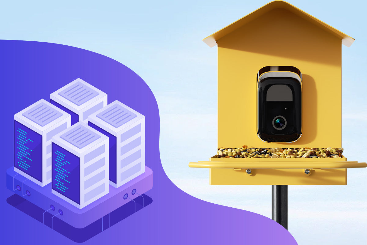See Who Visits When You're Not Looking: The Power of a Camera Bird Feeder Cloud Server