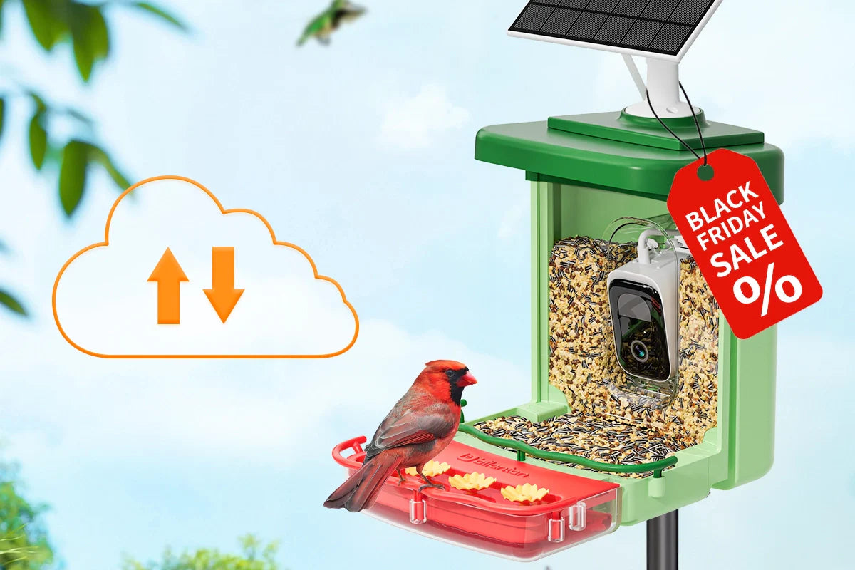 Smart Bird Feeders with Camera