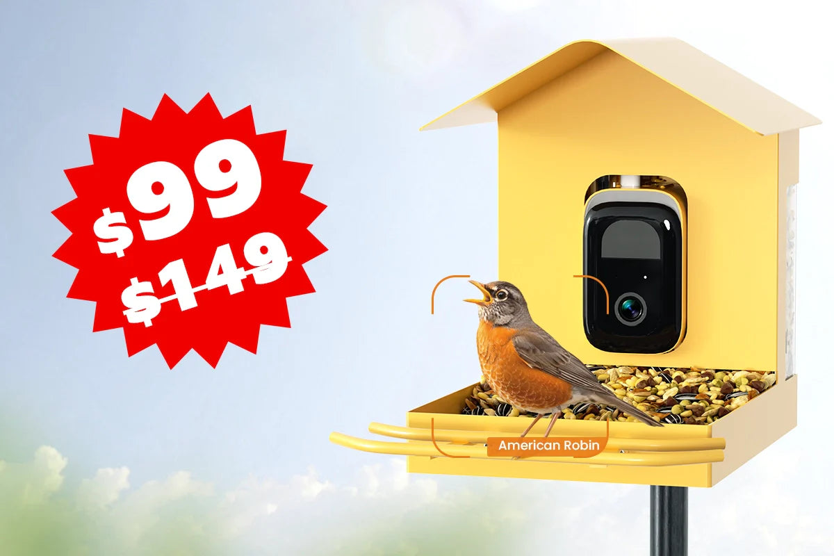 bird feeder with camera under $100_3