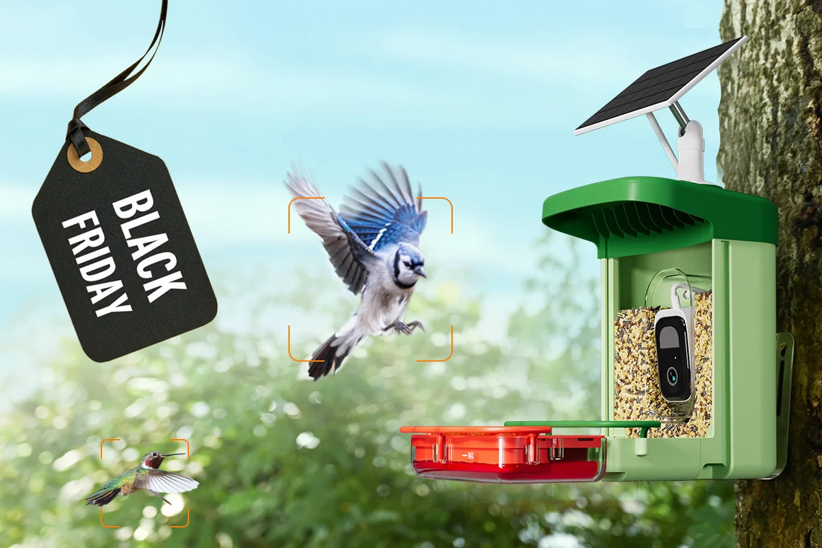 black friday deal bird feeder with camera