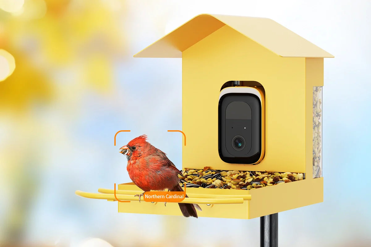 The Easy Setup Bird Feeder with Camera: Your Effortless Path to 24/7 Birdwatching