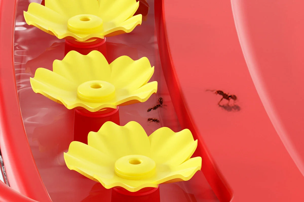 Bilantan hummingbird feeder