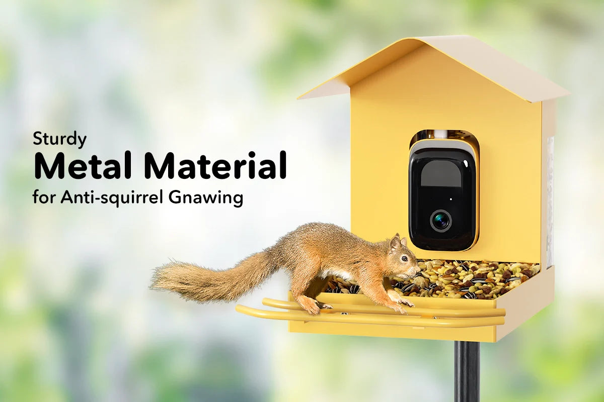 squirrel-proof bird feeder with camera