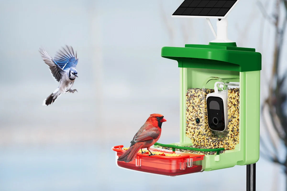 window mount bird feeder with camera
