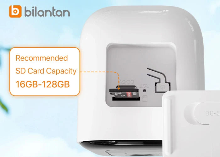 bird feeder with camera SD card included