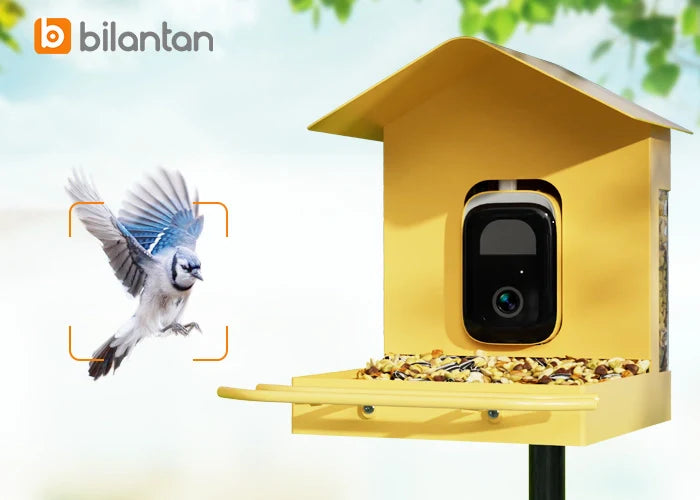 camera bird feeder motion activation