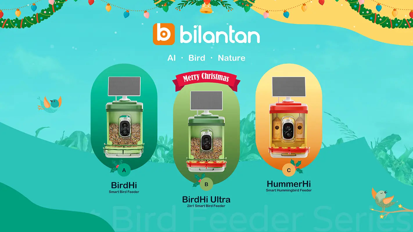 The perfect Christmas gift for bird lovers: Bilantan Bird Feeder with Camera
