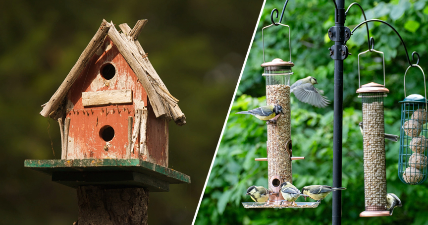Bird Feeder vs Birdhouse: What’s the Difference and Do You Need Both?