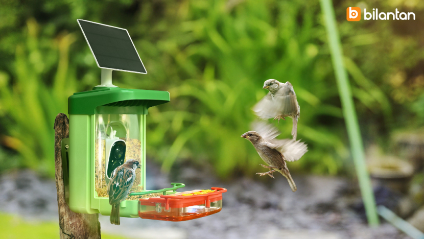 How to Attract Birds to Your Feeder: A Beginner's Guide to Birdwatching
