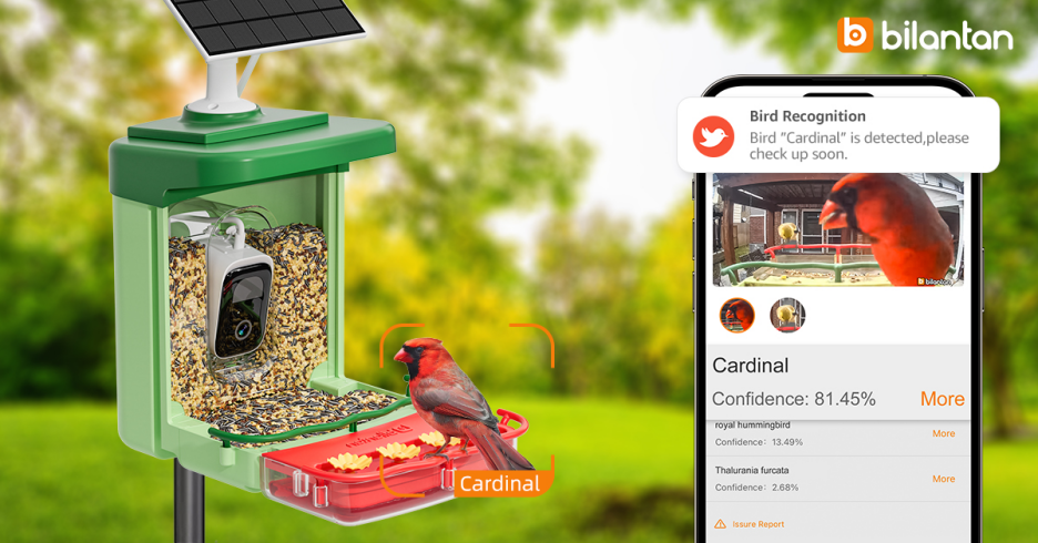 Cleaning and maintaining a bird feeder with built-in camera lens