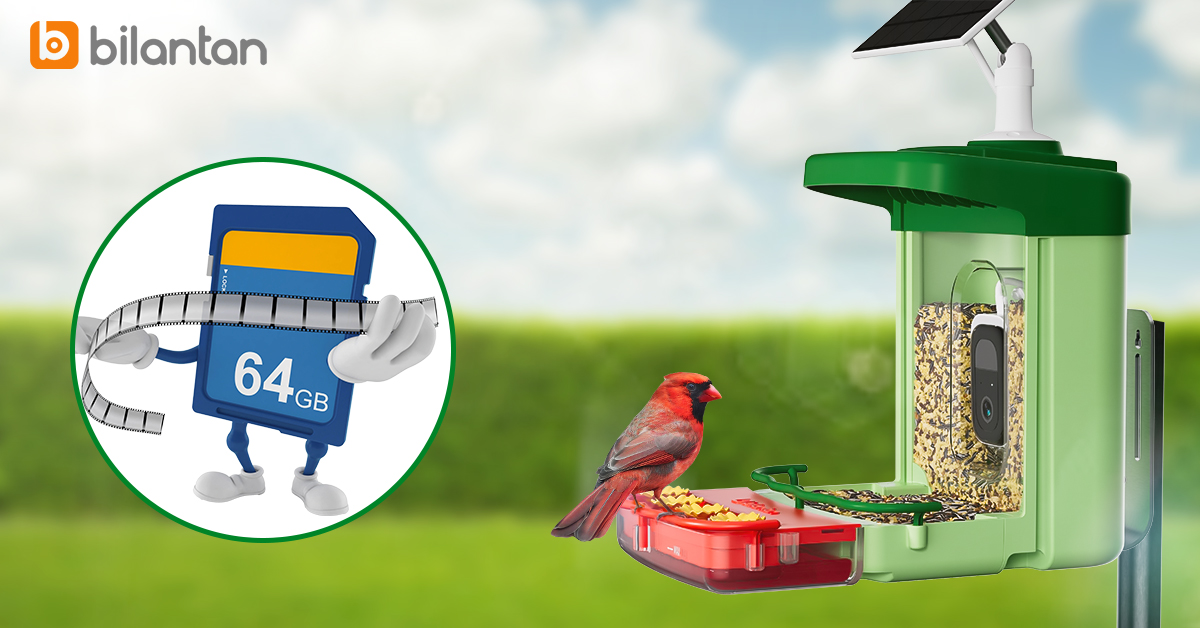 No Subscriptions: How to Choose SD Card for Smart Bird Feeder