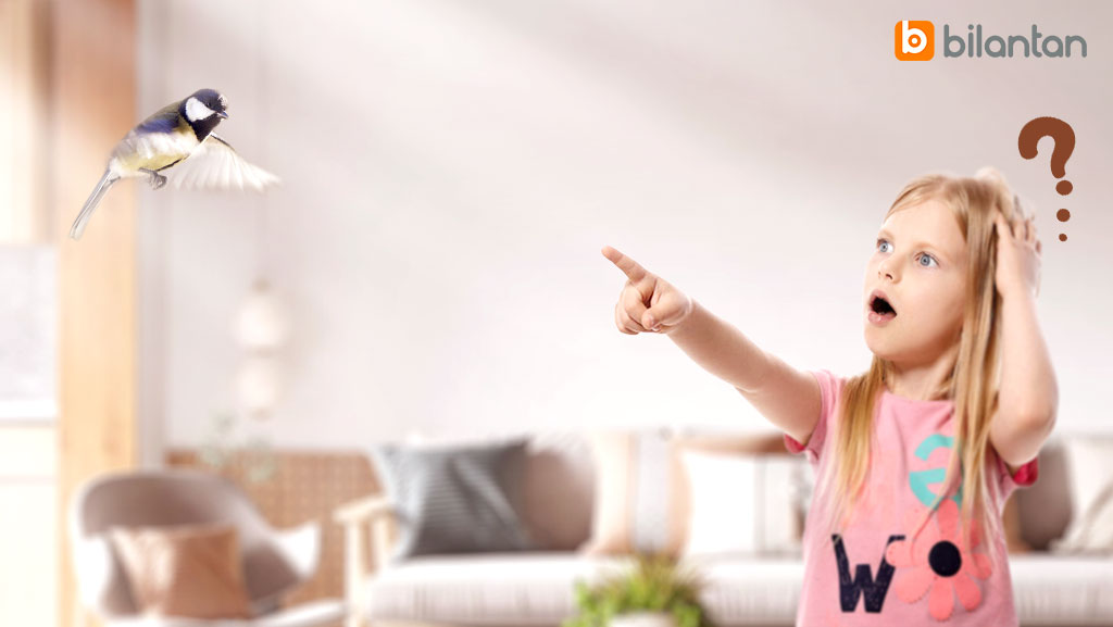 There ia a bird in the house.