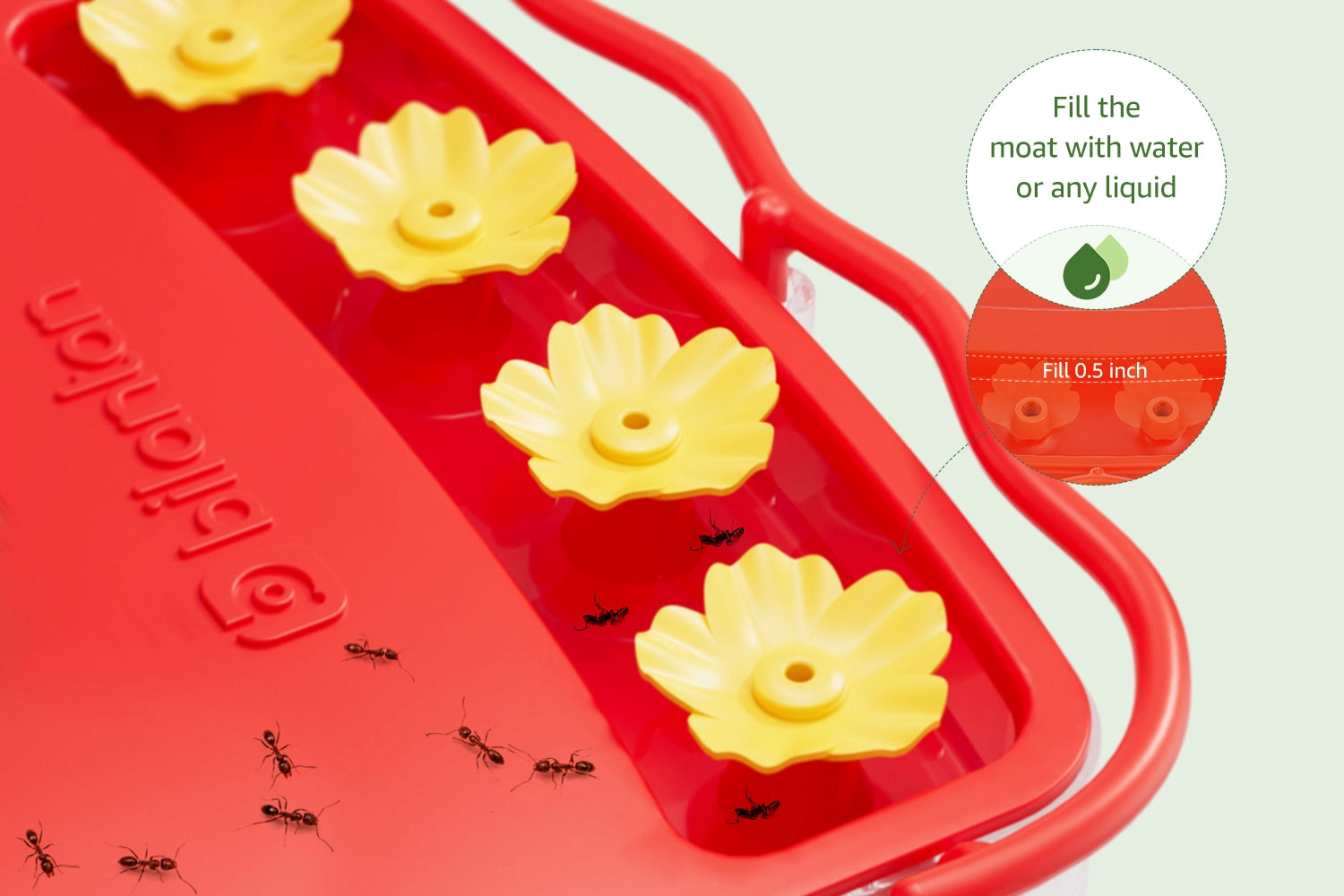 Ant & Insect Moat: Effectively prevents ants or insects from feeding on nectar, keeping an eye on the health of hummingbirds.