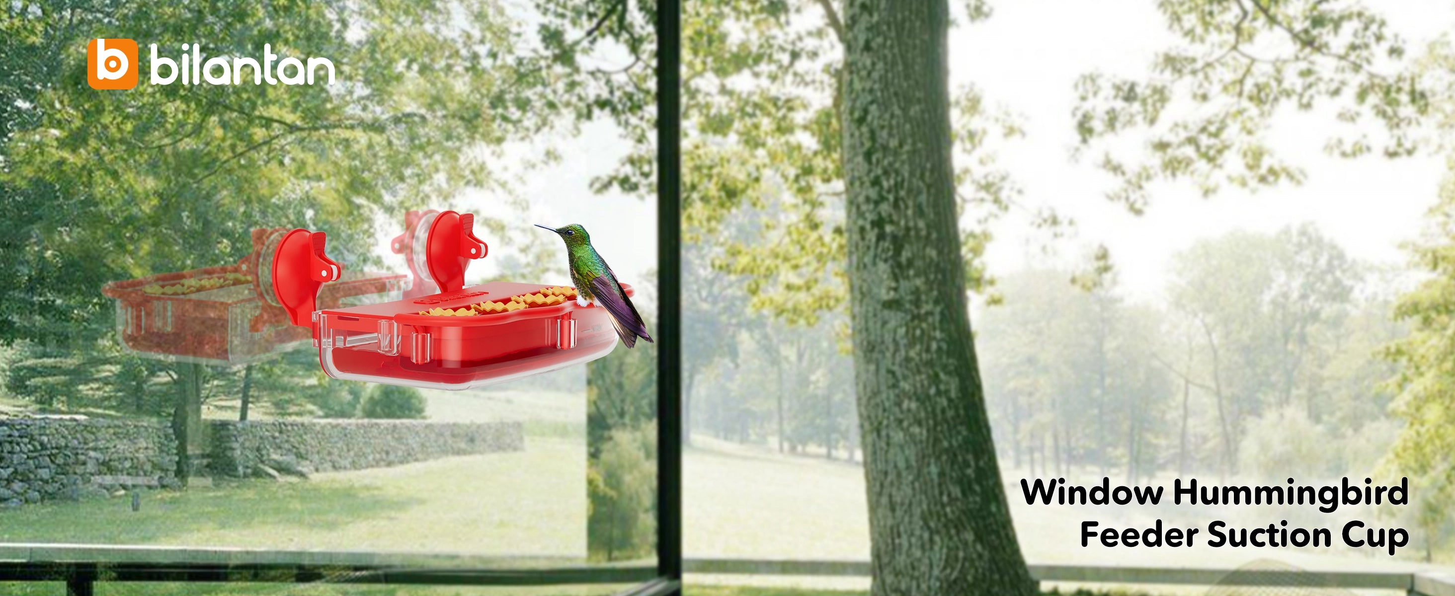 Bilantan 2in1 Window Hummingbird Feeder