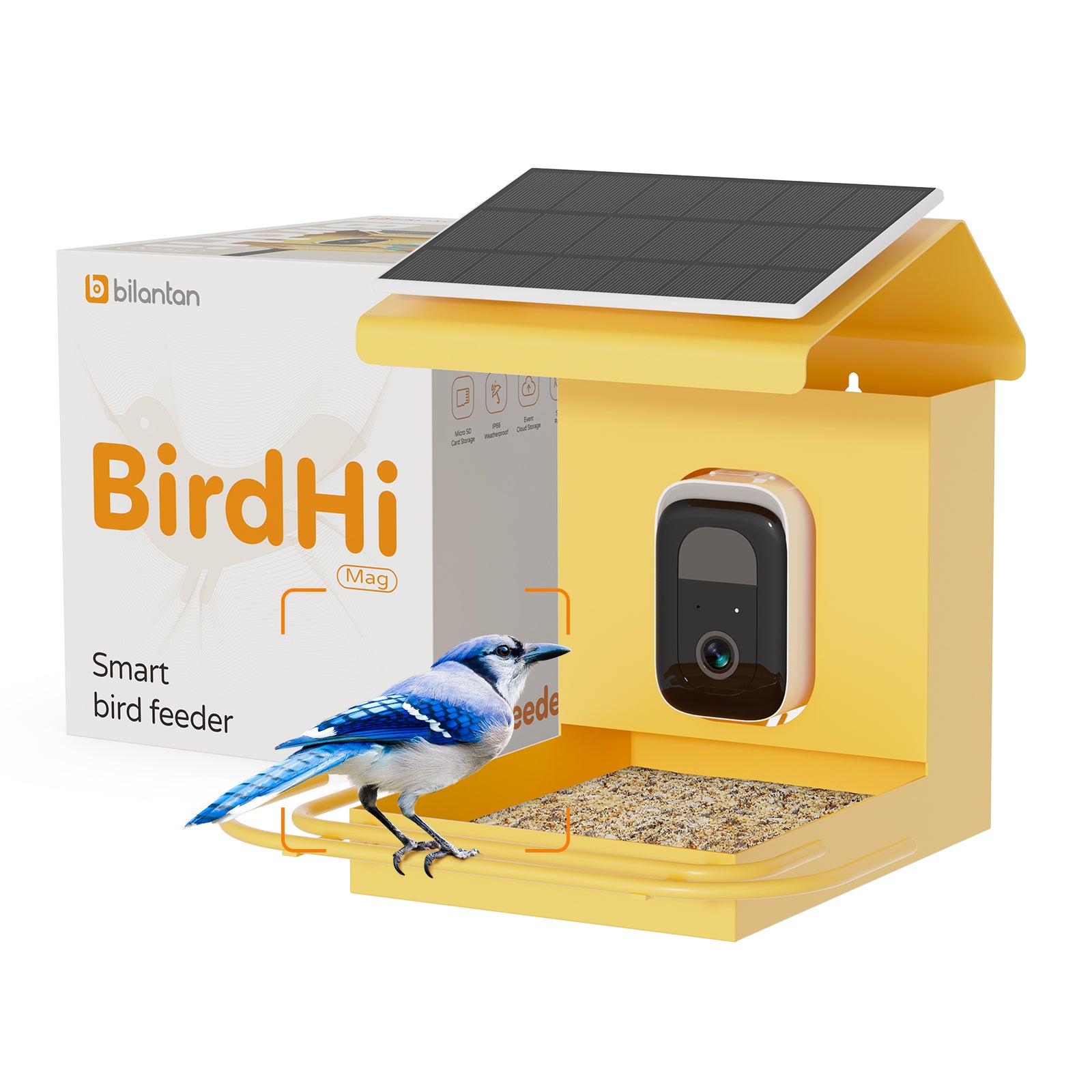 Bilantan BirdHi Mag Bird Feeder with Camera, Only 2.4G WiFi Compatible