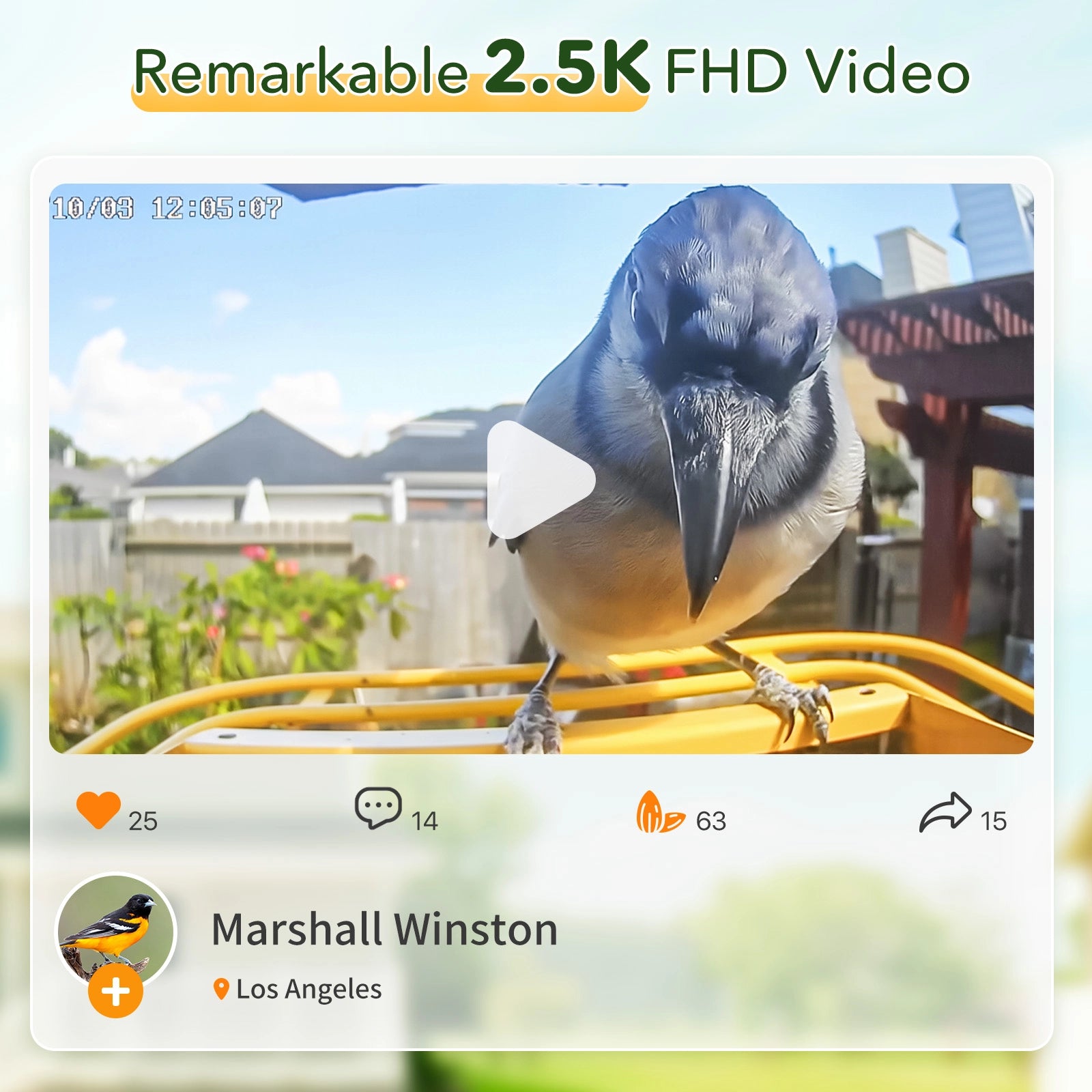 Bilantan BirdHi Mag Pro Bird Feeder with Camera, 5G/2.4G WiFi Compatible