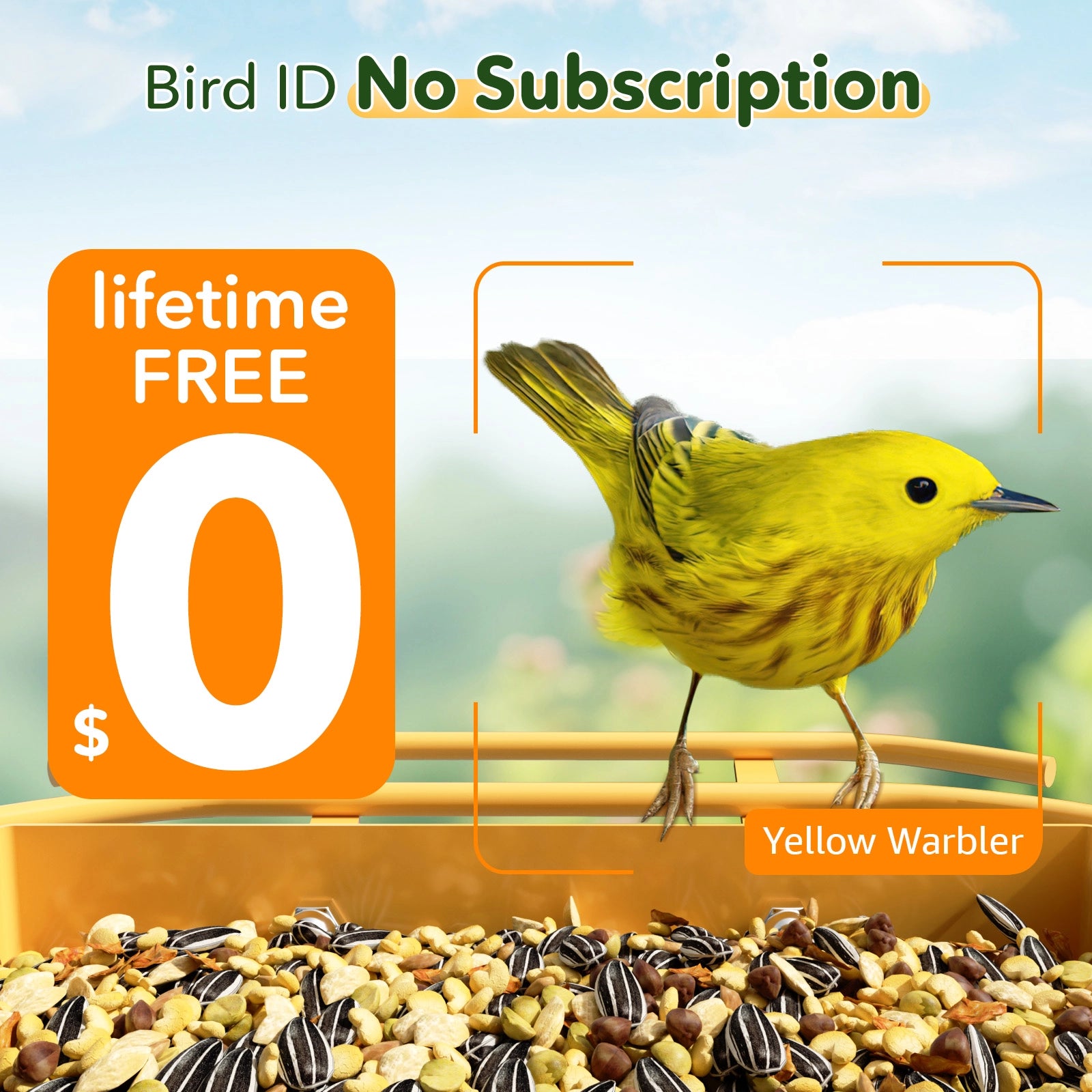 Bilantan BirdHi Mag Pro Bird Feeder with Camera, 5G/2.4G WiFi Compatible