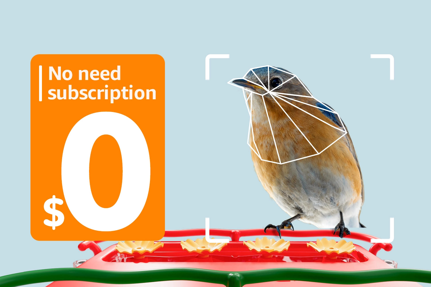 BirdHi Ultra, Free and professional AI bird recognition, Have fun exploring your local wild birds!