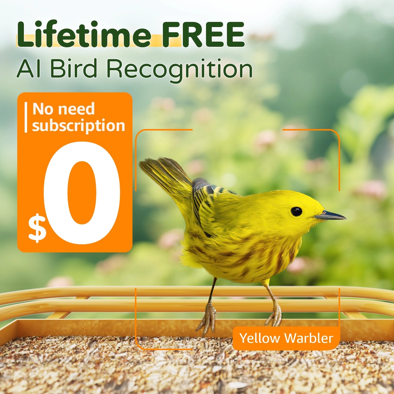 Bilantan BirdHi Mag Bird Feeder with Camera, Only 2.4G WiFi Compatible