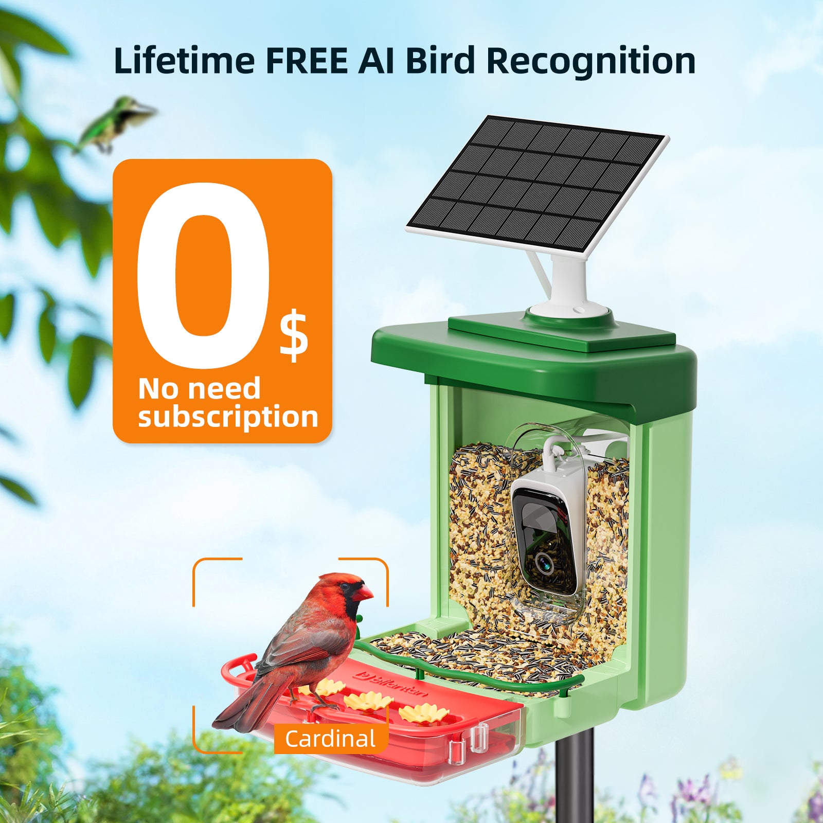 Bilantan BirdHi Ultra 2in1 Bird Feeder with Camera, Only 2.4G WiFi Compatible