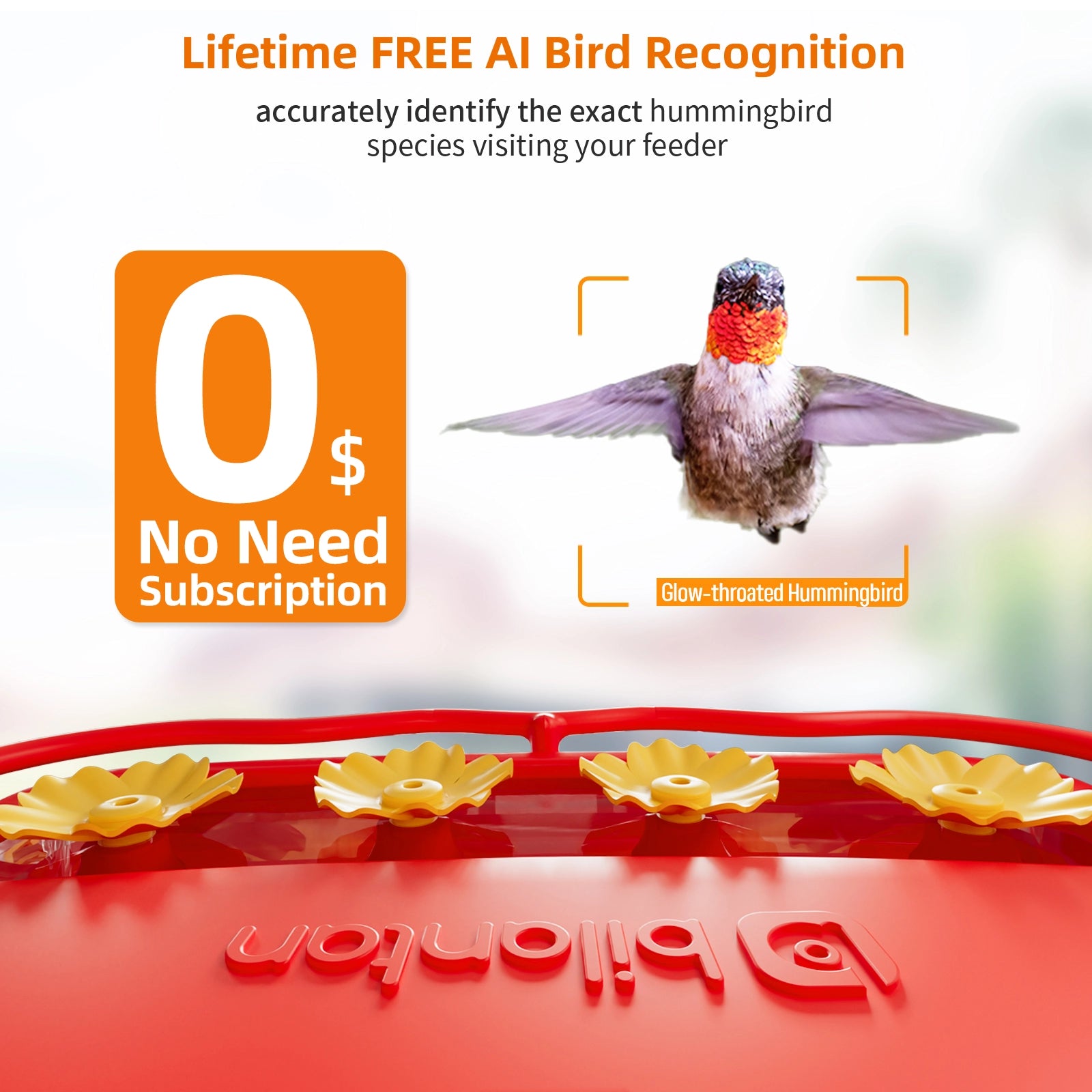 Bilantan HummerHi Hummingbird Feeder with Camera, Only 2.4G WiFi Compatible