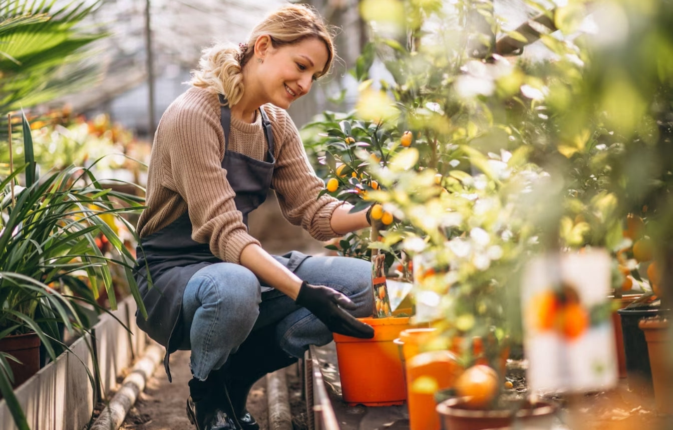 Groups that promote gardening, landscaping, and outdoor activities and have a keen interest in attracting birds to their yards.