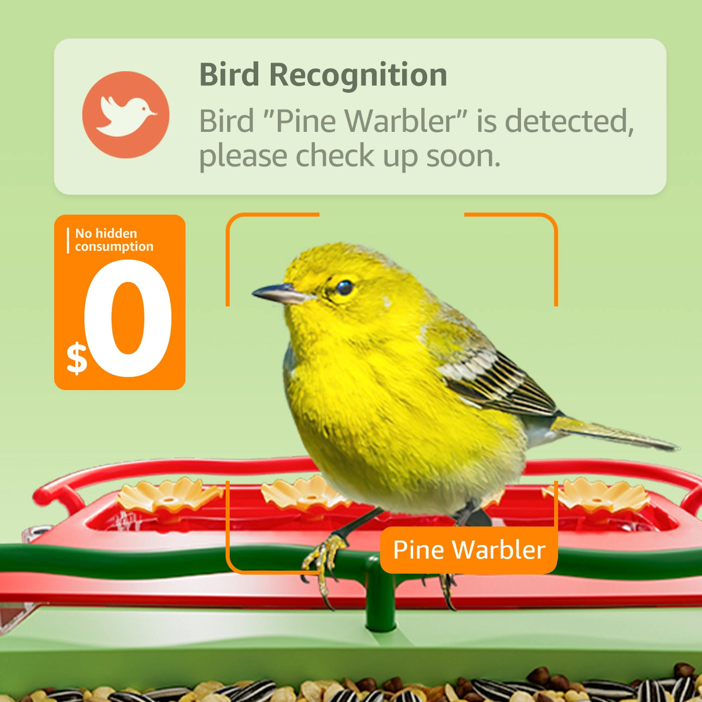 Bilantan Free AI intelligent bird recognition function