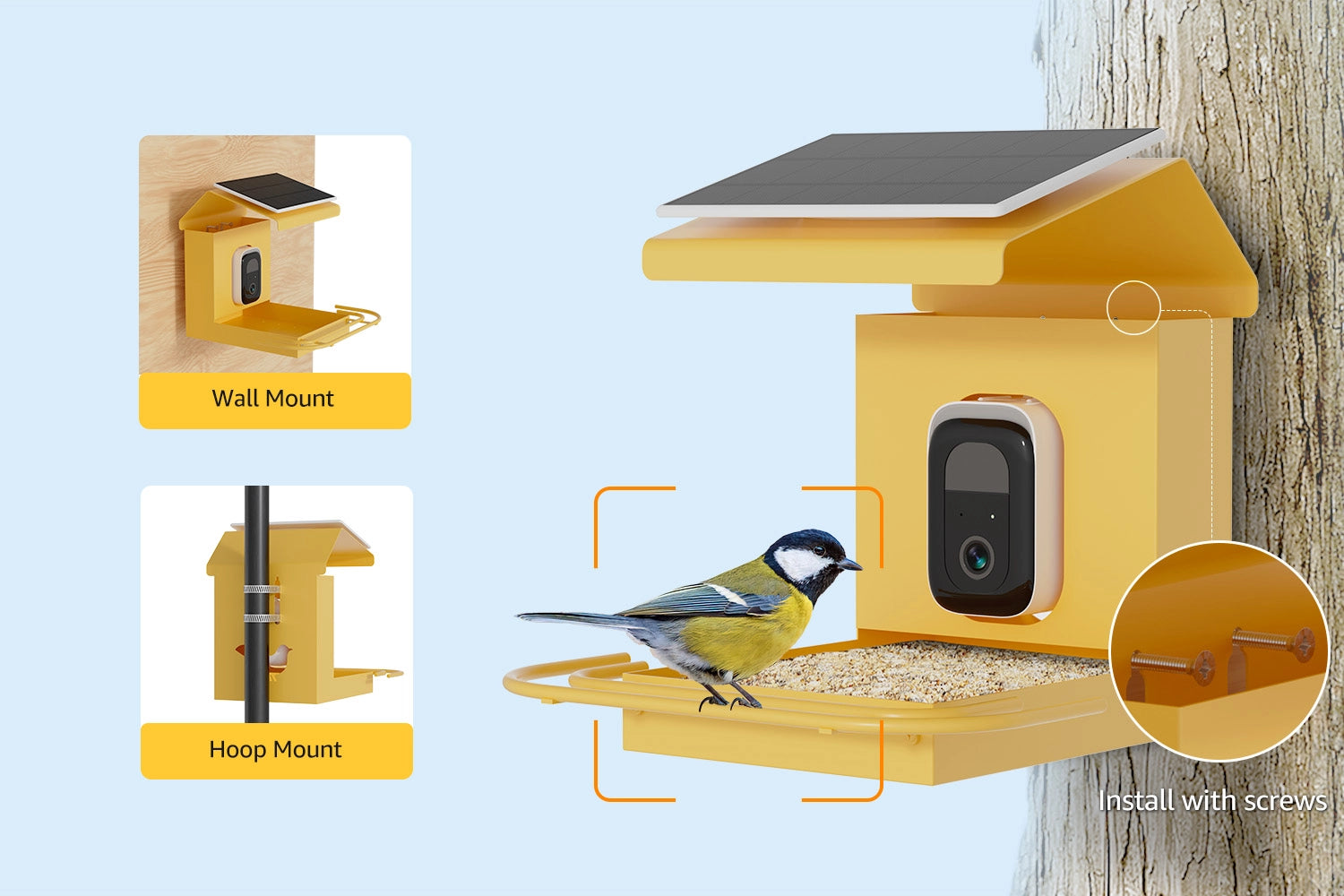 Two installation options for the BirdHi Mag smart bird feeder: wall-mounted and pole-mounted, providing flexibility in placement for different birdwatching setups.