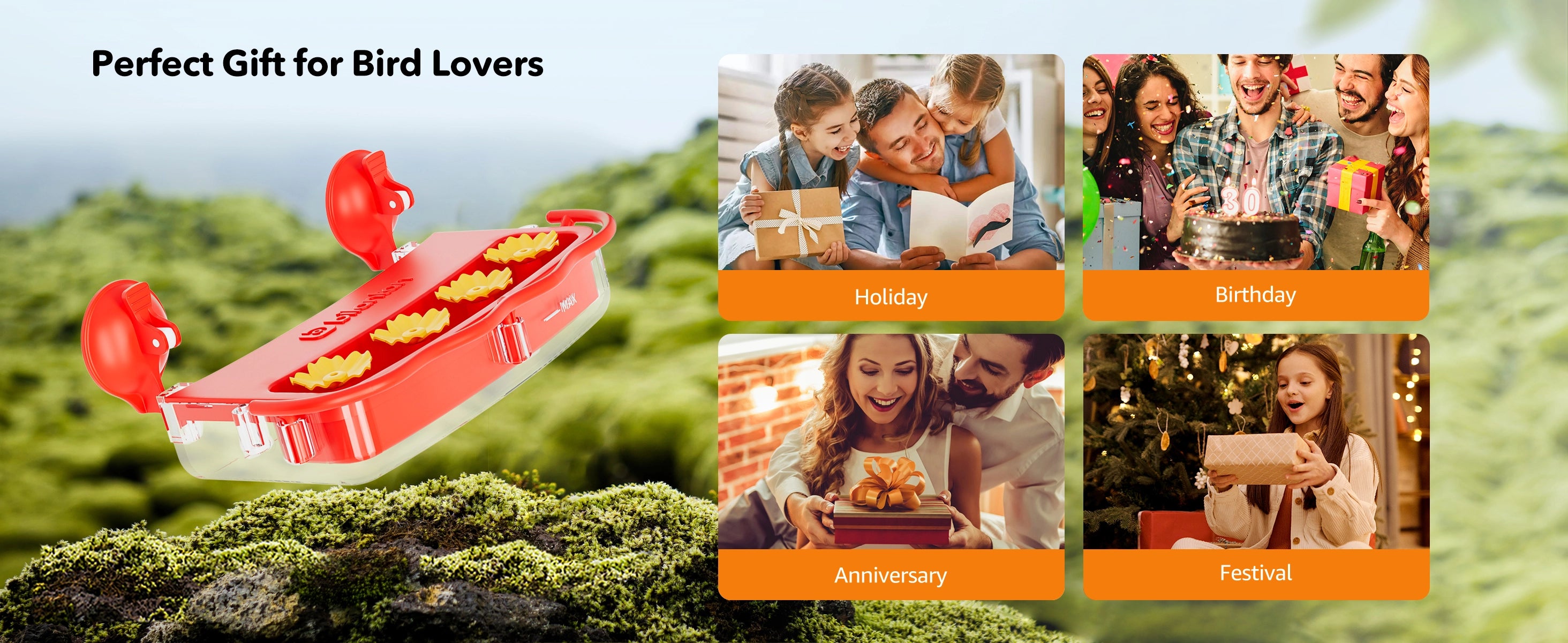 Bilantan hummingbird feeder Perfect Gift for Bird Lovers