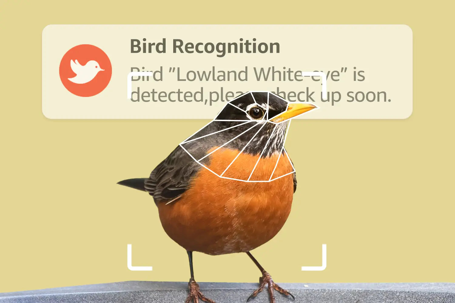 Free and professional AI bird recognition, Have fun exploring your local wild birds!