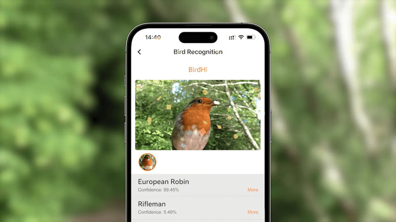 Bilantan bird feeder with camera_BirdHi Mag & BirdHi & HummerHi & BirdHi Ultra
