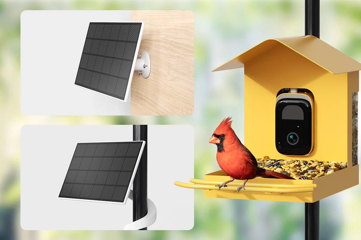 Endless Sun-Powered Birdwatching: How a Solar Powered Camera Bird Feeder Captures Every Moment, Worry-Free