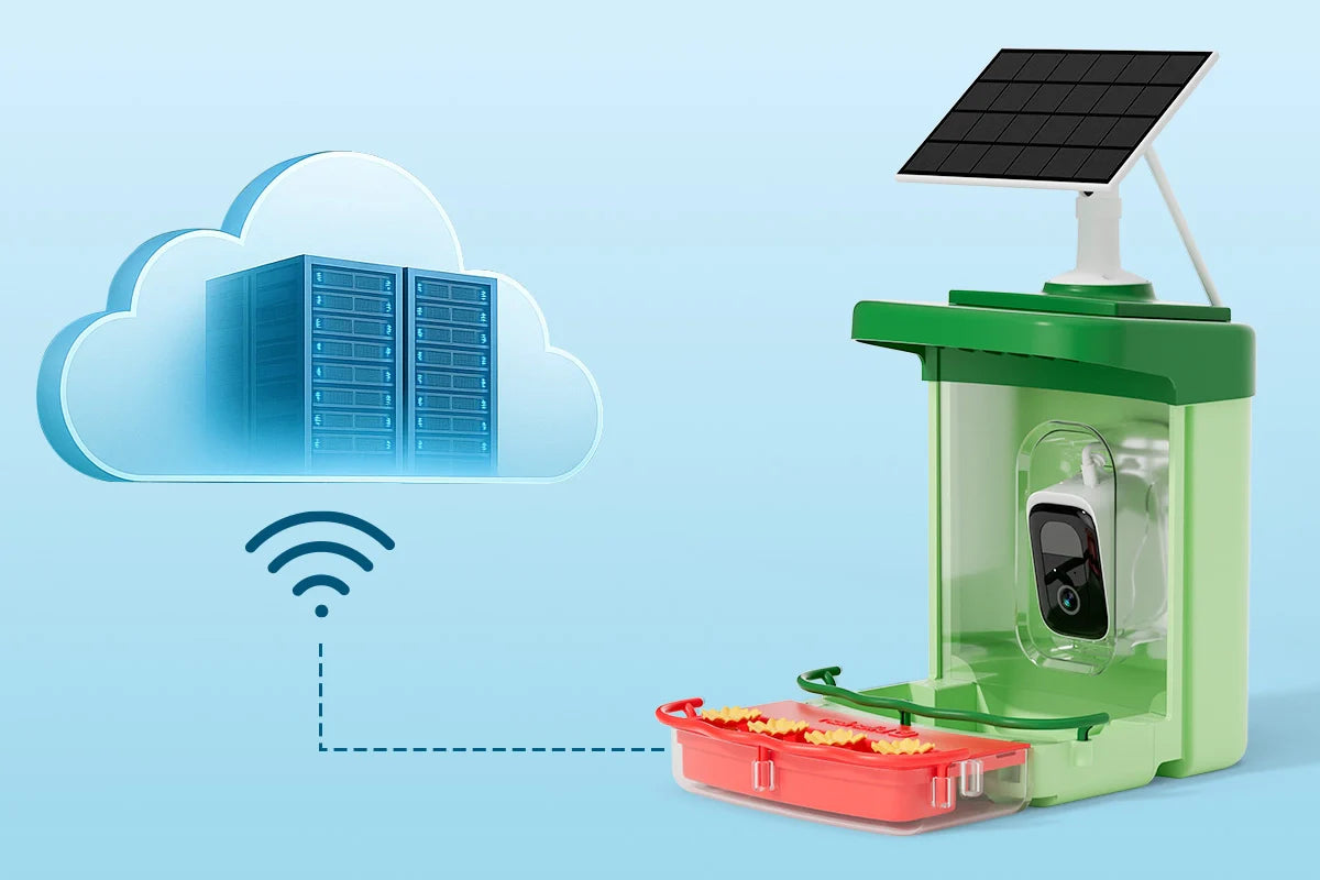 wifi bird feeder Cloud server