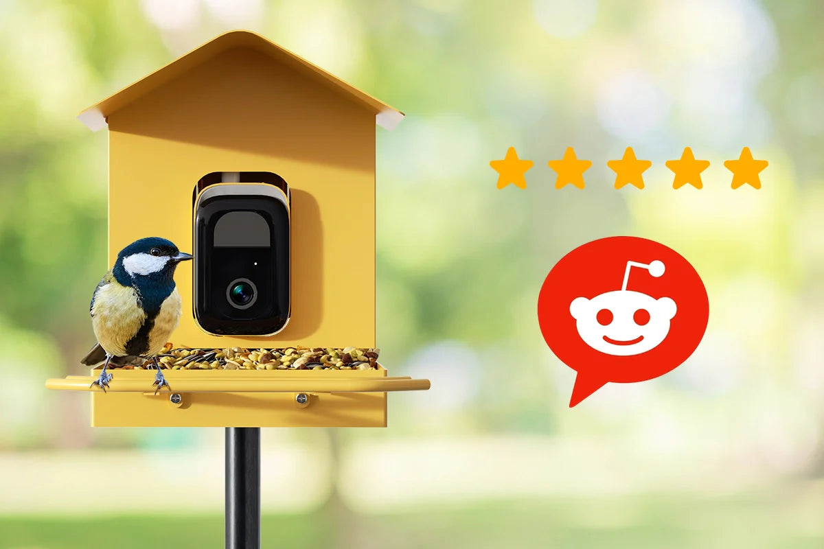best smart bird feeder reddit