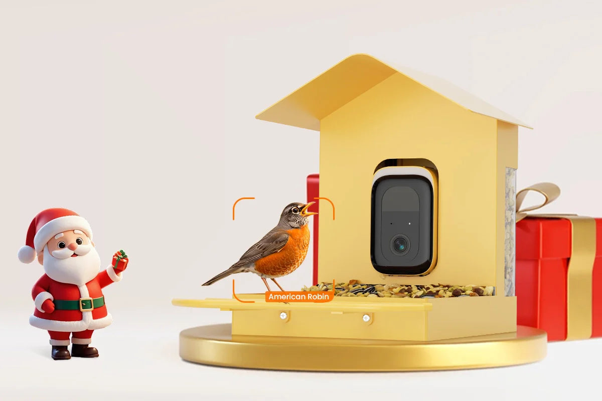  Best Christmas gift bird feeder with camera 