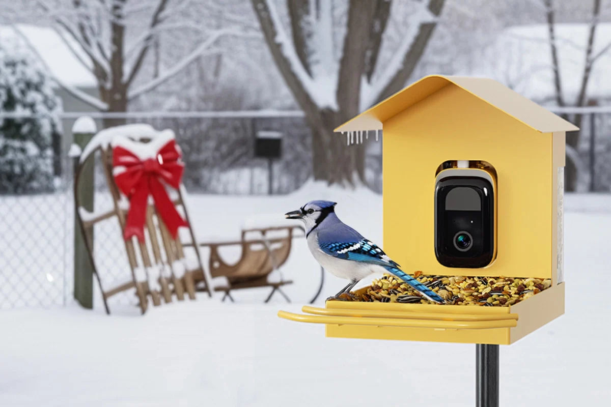 BirdHi Mag Pro bird feeder with camera