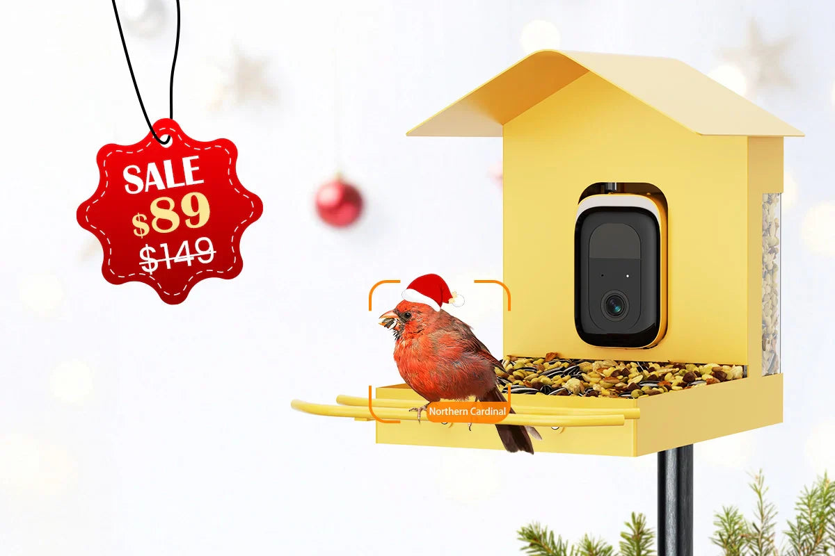 BirdHi Mag Pro smart bird feeder with camera Christmas sale 5G WiFi