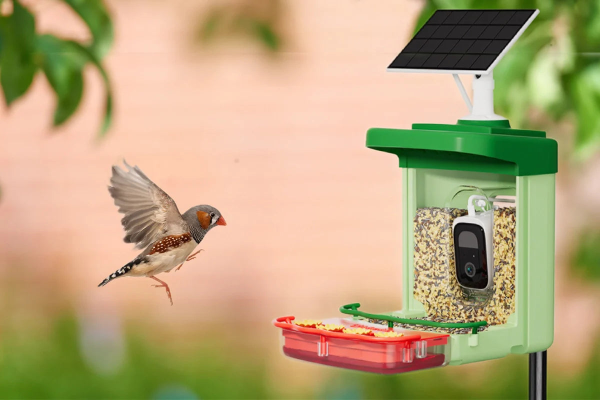 Best Discreet Camera Bird Feeder 2025: Ultimate Review &amp; Smart Birdwatching Guide | Bilantan Expert's Choice