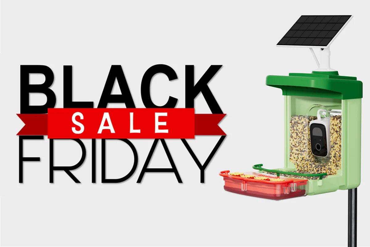 best wireless bird feeder camera