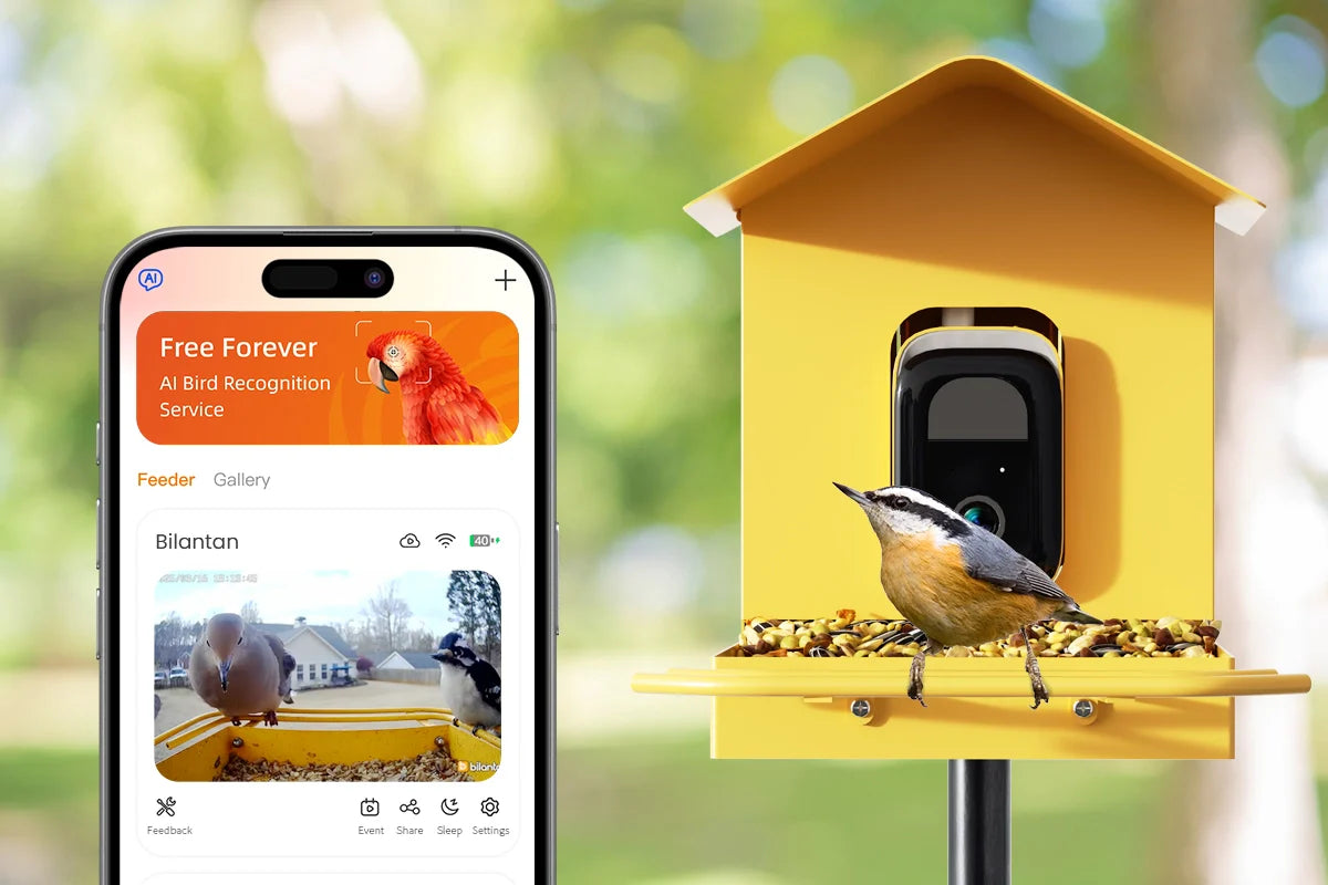 bird feeder with camera and app