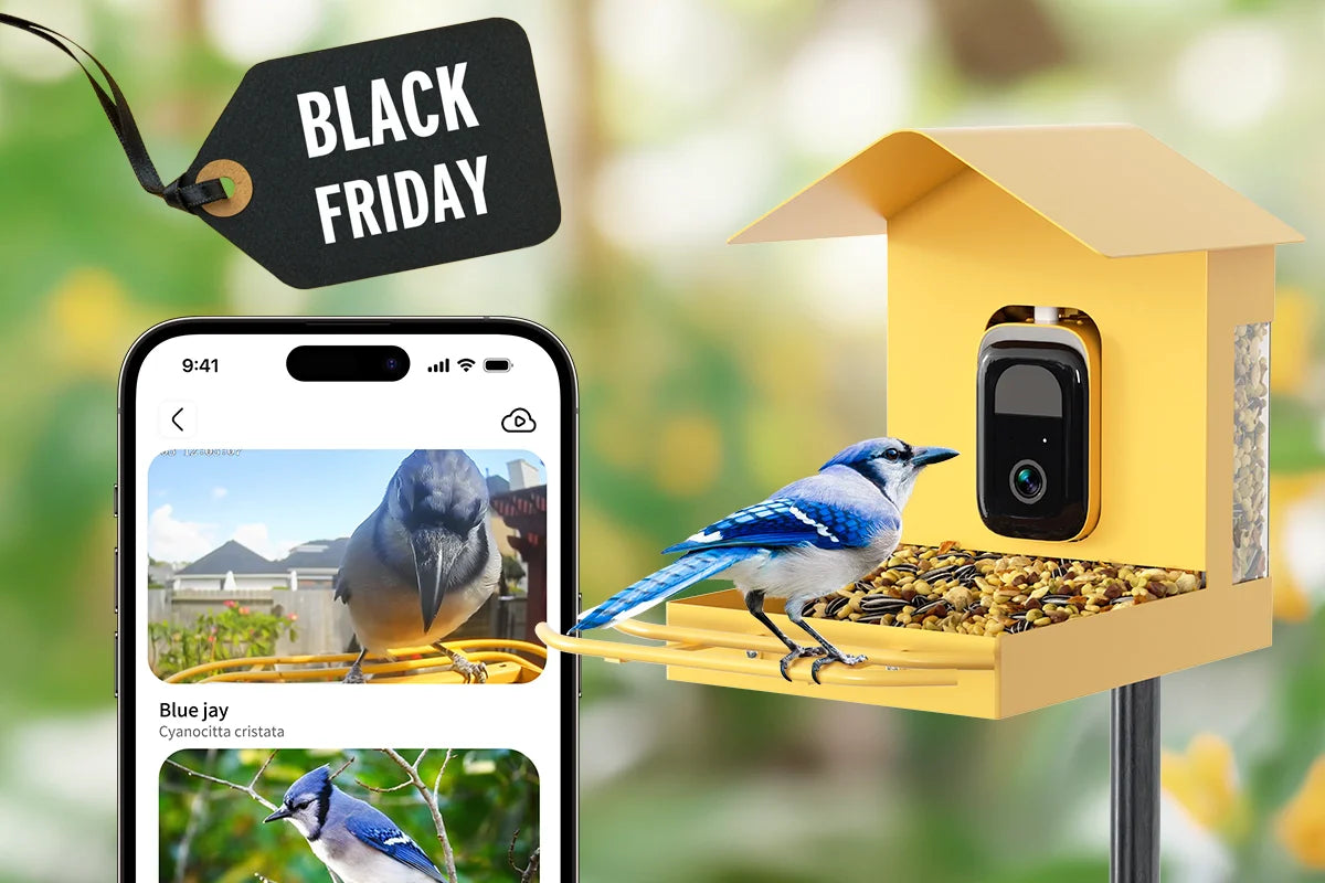 bird feeder with camera_black friday