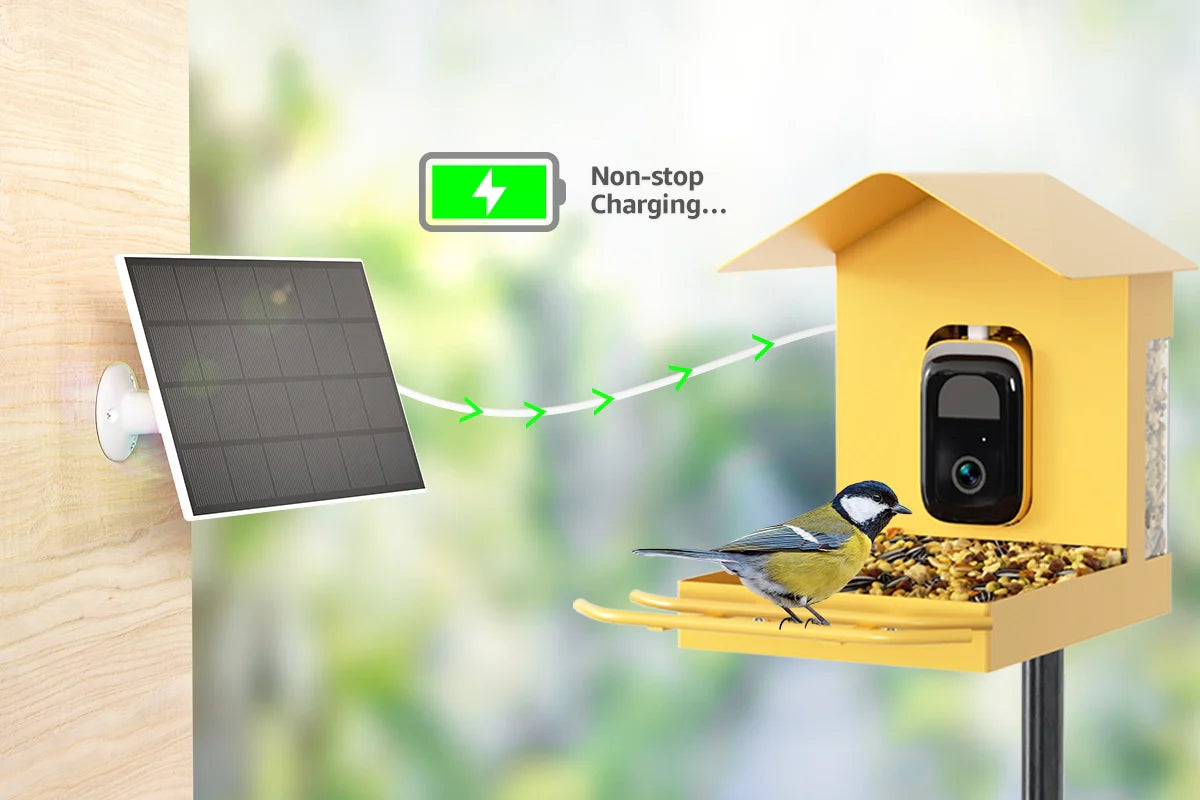 battery life wifi bird feeder