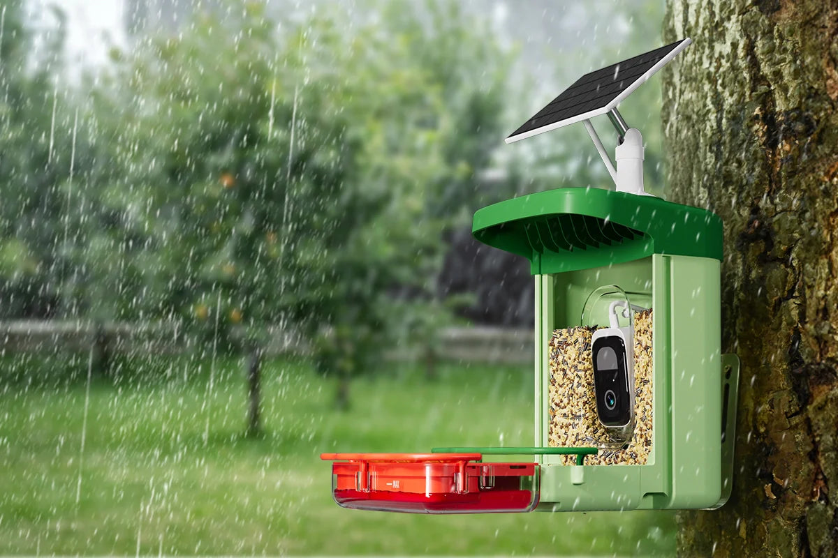 Camera Bird Feeder Weatherproof Rating: Your Ultimate Guide to All-Weather Birdwatching
